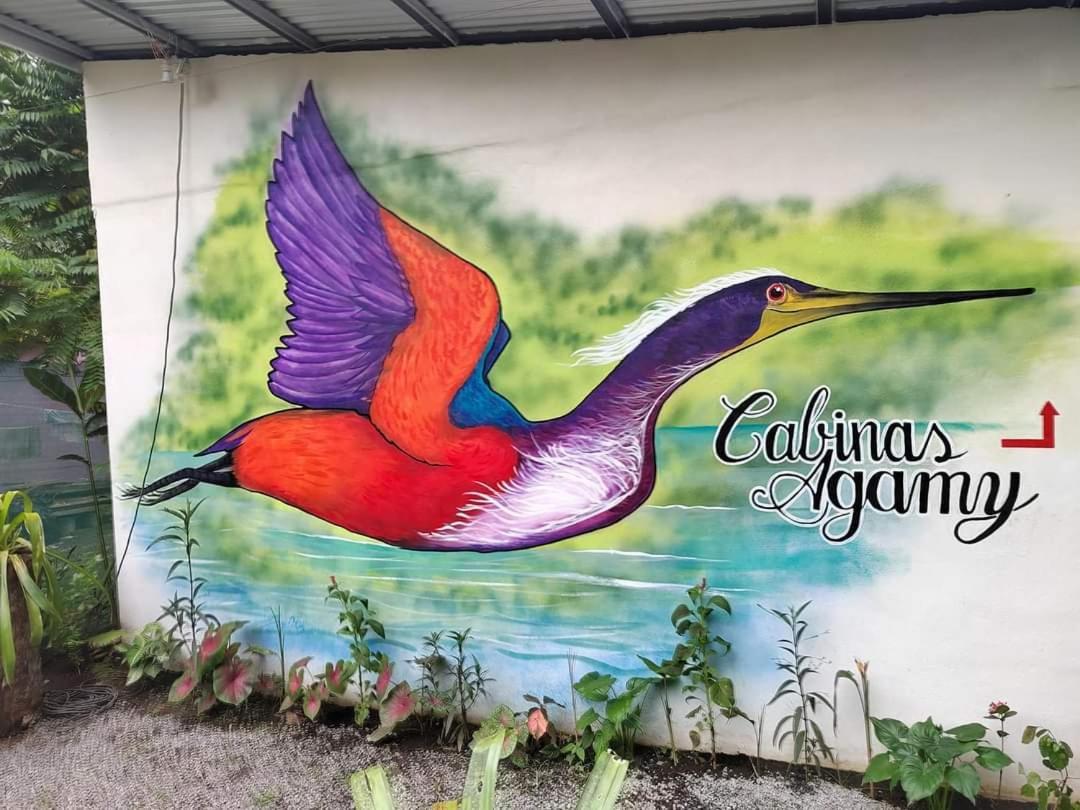Cabinas Agamy Tortuguero Exteriér fotografie