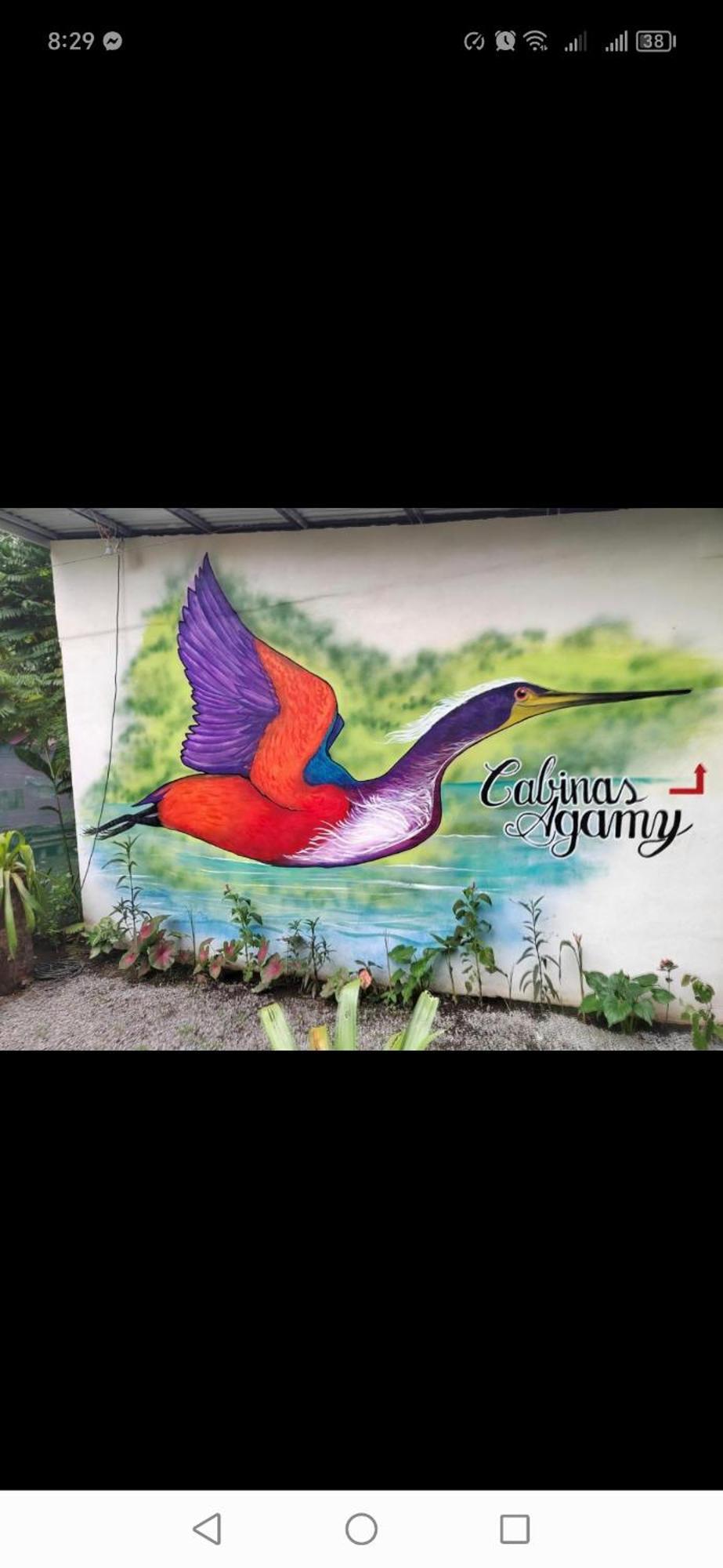 Cabinas Agamy Tortuguero Exteriér fotografie